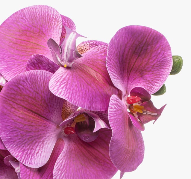 Künstlicher Orchideenzweig Phalaenopsis mit pinkfarbenen Blüten und grünem Stiel.