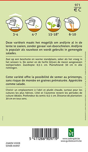 Informationen zur Aussaat von Endiviensamen