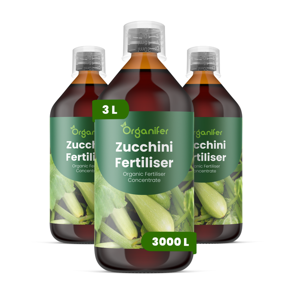 Zucchini an der Pflanze mit Blättern und Stielen, Organifer Logo.
