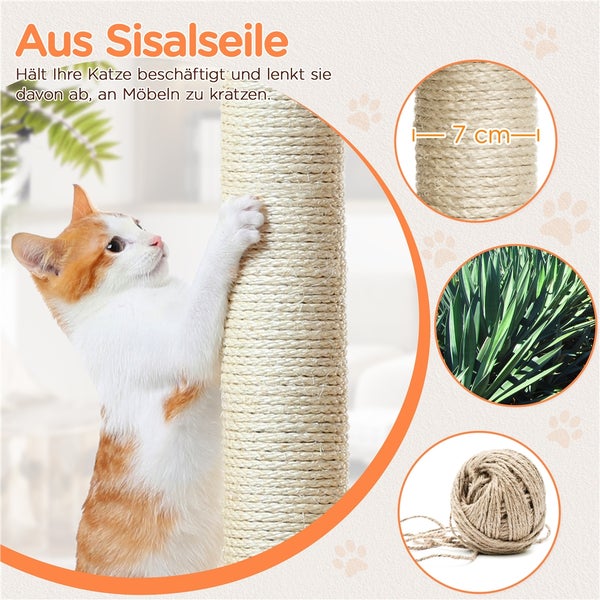 Katze kratzt an einem Kratzbaum aus Sisalseil, Detailaufnahme der Seilwicklung, Nahaufnahme der Sisalfaser