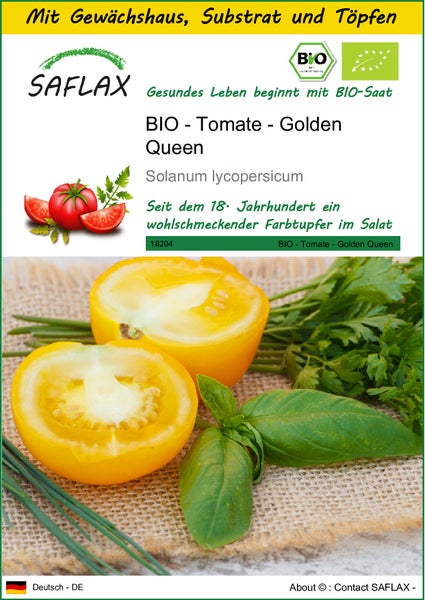 SAFLAX Anzucht Set - BIO - Tomate - Golden Queen - Solanum lycopersicum - 15 Samen - Mit Mini-Gewächshaus, Anzuchtsubstrat und 2 Töpfen