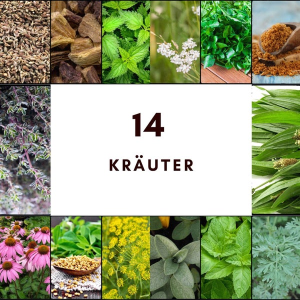 Collage von 14 verschiedenen Kräutern