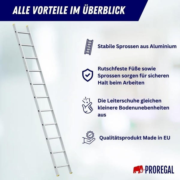 PROREGAL Sprossen-Anlegeleiter ATLAS Ohne Traverse 11 Sprossen Arbeitshöhe 3,97 m Traglast 150 kg