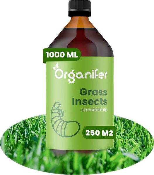 Grasinsekten-Konzentrat - 1000 ml für 250 m2 - Organifer
