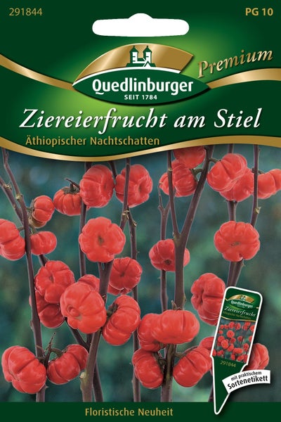 Quedlinburger Samentüte Ziereierfrucht am Stiel, Äthiopischer Nachtschatten, mit gerippten orangefarbenen Früchten an Zweigen, Quedlinburger Logo.