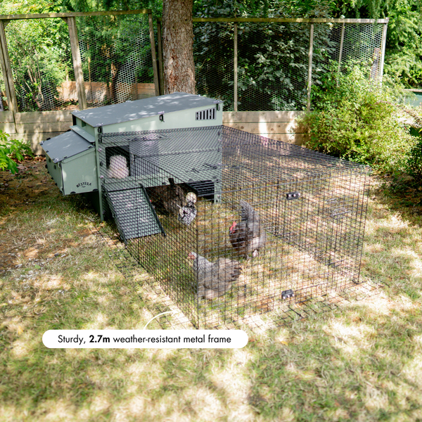 Nestera Hühnerstall mit 2,7 Meter langem, wetterfestem Metallauslauf und Hühnern in einem Garten.