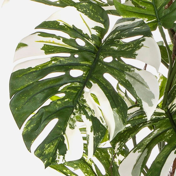Kunstpflanze Philodendron Monstera Deliciosa Variegata MEBSUTA, grün-weiß, 160cm - Deko Philodendron