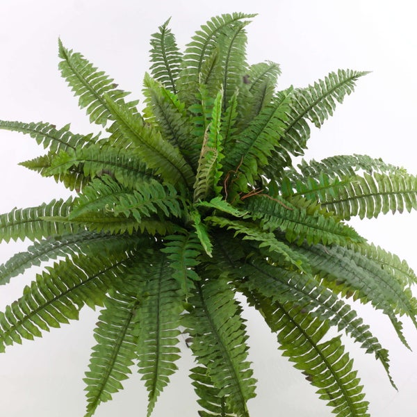 Künstlicher Farn in der Draufsicht mit grünen, gefiederten Wedeln.