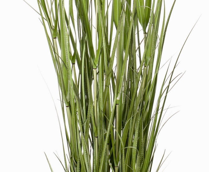 Künstliches grünes Gras in einem schwarzen Kunststofftopf.