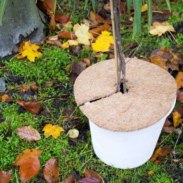 Kokosmatte - rund (Ø 45 cm) - 10 mm