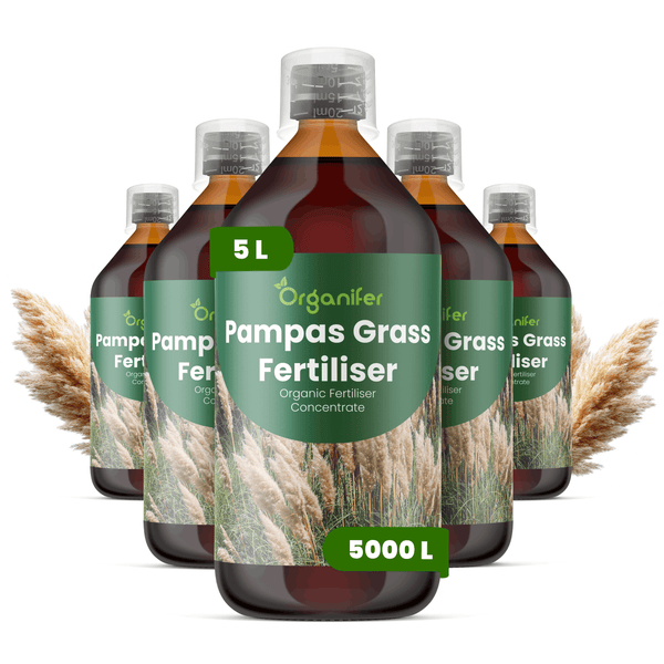 Fünf 5-Liter-Flaschen Organifer Pampasgras-Dünger, organisches Konzentrat für die Gartenpflege.
