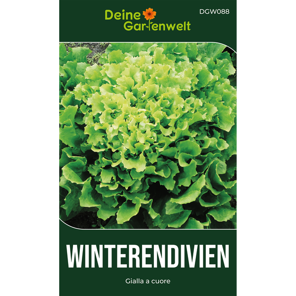 Samentüte für Winterendivien Gialla a cuore, Deine Gartenwelt Logo, Abbildung einer Pflanze mit krausen Blättern.