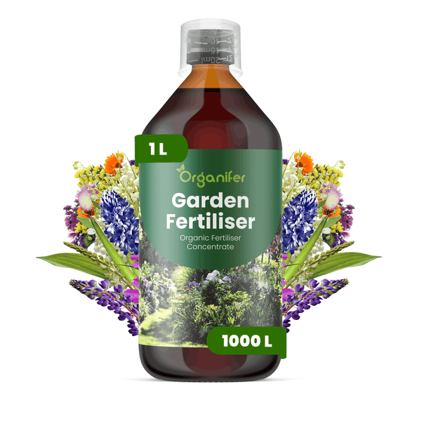 Organifer Garten-Dünger Konzentrat, 1 Liter Flasche, organischer Flüssigdünger für Pflanzen und Blumen.