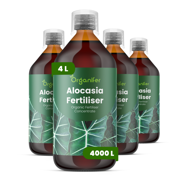Vergleich von Organifer Alocasia-Dünger mit anderen Produkten. Vorteile: kräftiges Blattwerk, widerstandsfähiges Wachstum und geruchsfreie Formel.