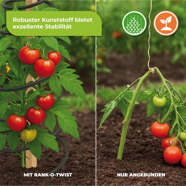 Vergleich: Tomatenpflanze mit Rank-O-Twist Spirale versus Anbinden mit Schnur. Spirale bietet Stabilität. Symbole für Wachstum und Unterstützung.