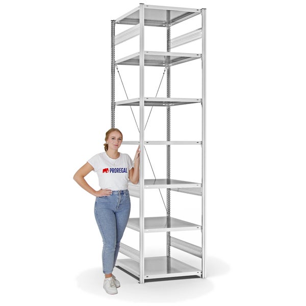 PROREGAL Fachbodenregal Stecksystem T-Profil Light-Duty Grundregal HxBxT 300 x 75 x 80 cm 7 Ebenen Fachlast 130 kg Einseitig Nutzbar Lichtgrau