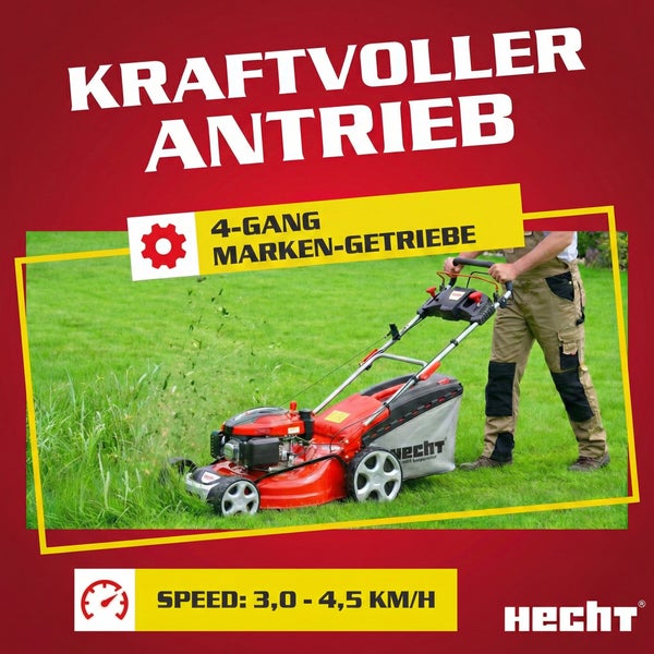 Hecht Benzin-Rasenmäher mit 4-Gang-Markengetriebe beim Mähen. Geschwindigkeit circa 3,0 bis 4,5 Kilometer pro Stunde.