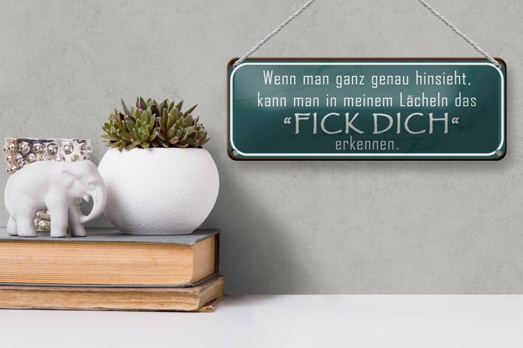 Blechschild Spruch 27x10cm in meinem Lächeln Fick Dich Dekoration