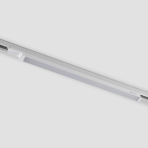 Buchcover mit dem Titel: Die unglaublichen Fähigkeiten der Katze