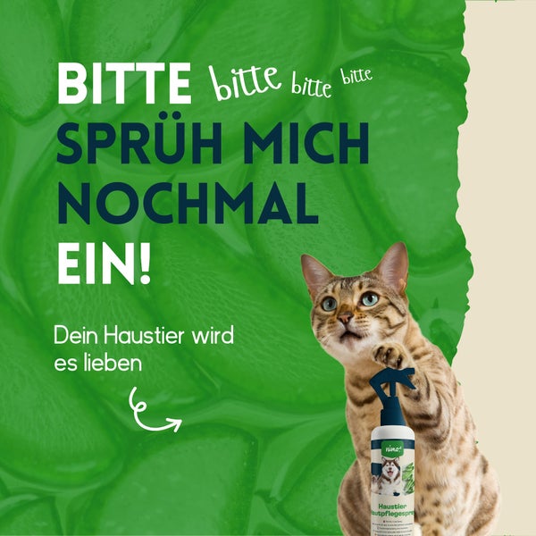 nimo® Haustier Hautpflegespray • mit Aloe Vera und Panthenol gegen Juckreiz und gereizte Haut