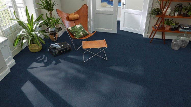 Moderner Raum mit dunkelblauen Teppichfliesen, einem Butterfly-Sessel aus Leder mit Hocker, Zimmerpflanzen und einem Holzregal.