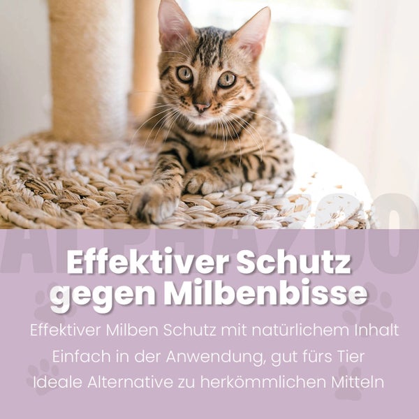 Bengal Katze liegt auf einem Katzenkratzbaum