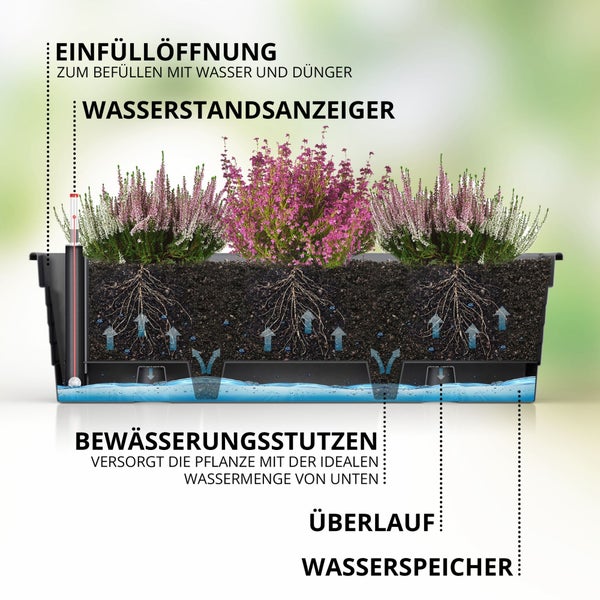 Querschnitt eines Balkonkastens mit Selbstbewässerungssystem, Wasserreservoir, Wasserstandsanzeiger und Einfüllöffnung für die Pflanzenbewässerung.