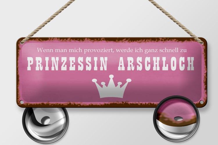 Blechschild Spruch 27x10cm ich zu Prinzessin Arschloch Dekoration
