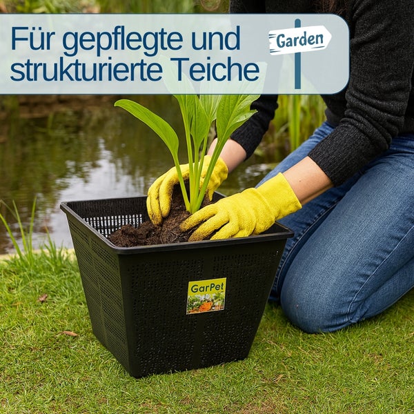 Person pflanzt Seerose in einen schwarzen Teichpflanzkorb von GarPet