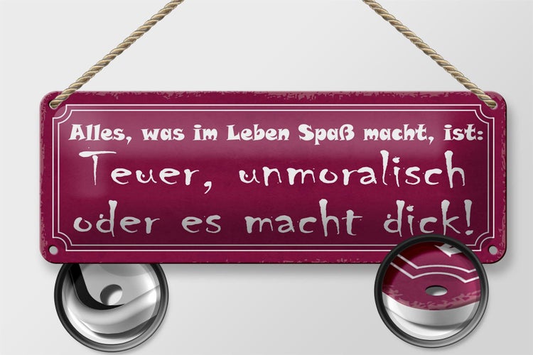 Blechschild Spruch 27x10cm alles was Spaß teuer unmoralisch Dekoration
