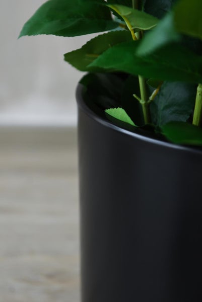 Detailansicht einer Kunstpflanze mit grünen Blättern in einem matt schwarzen Blumentopf.