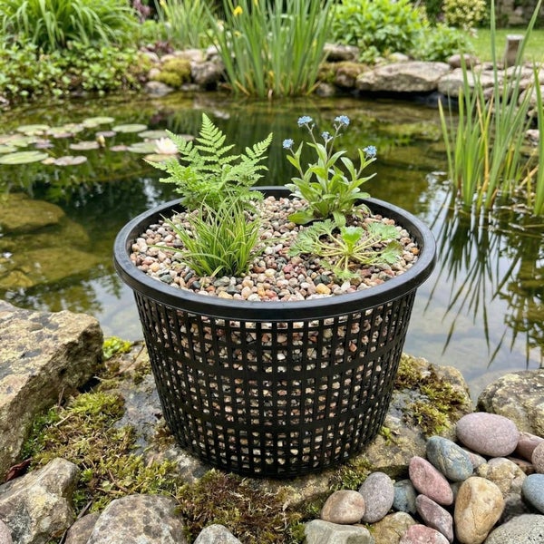Runder schwarzer Gitterkorb für Teichpflanzen befüllt mit verschiedenen Wasserpflanzen und Kies vor einem Gartenteich.