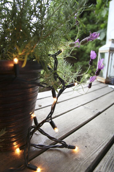 Lavendelpflanze in einem Topf, umwickelt mit einer Lichterkette, auf einer Holzterrasse
