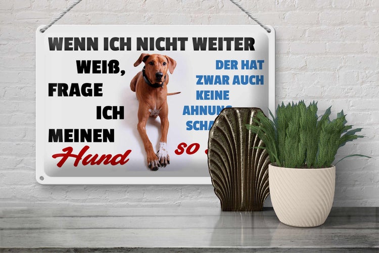 Blechschild Spruch 30x20cm wenn ich nicht weiter weiß Hund