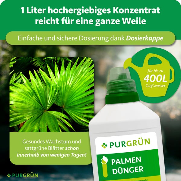 Purgrün Palmendünger 1 Liter