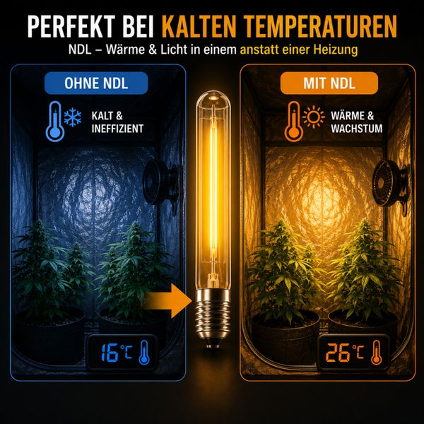 Vergleich einer Growbox ohne und mit NDL-Lampe. Ohne Lampe beträgt die Temperatur 16 Grad Celsius, mit Lampe 26 Grad Celsius für Wärme und Wachstum.