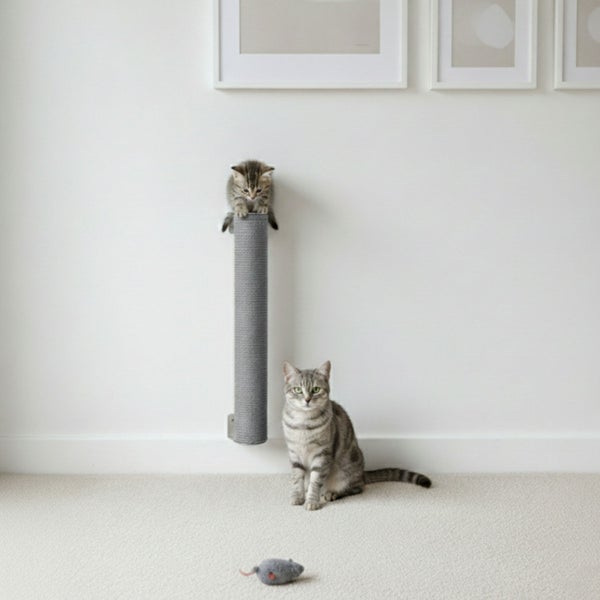 Wandkratzbaum für Katzen mit Sisaloberfläche und zwei Katzen in einem modern eingerichteten Wohnbereich.