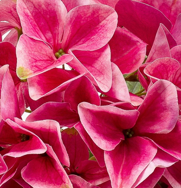 Nahaufnahme von künstlichen Hortensienblüten in Pink aus Textilmaterial.
