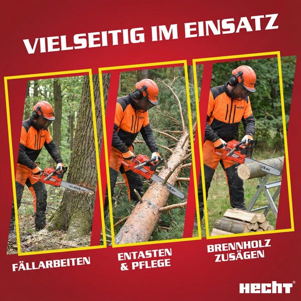 Hecht Kettensäge im Einsatz für Baumfällarbeiten, Entastung und Brennholzzuschnitt