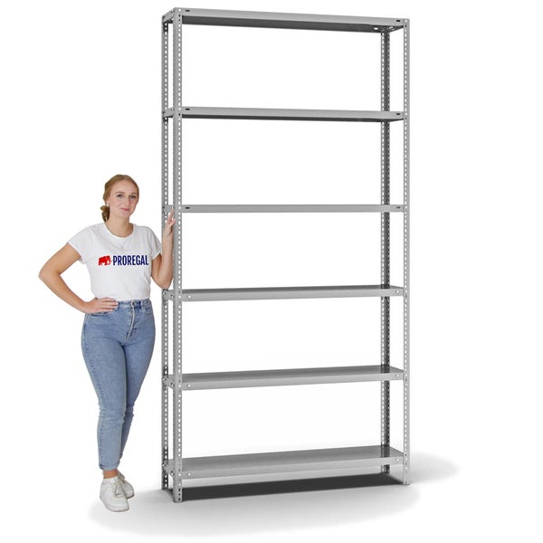 PROREGAL Fachbodenregal Schraubsystem Light-Duty Grundregal HxBxT 250 x 130 x 30 cm 6 Ebenen Fachlast 125 kg Beidseitig Nutzbar Verzinkt