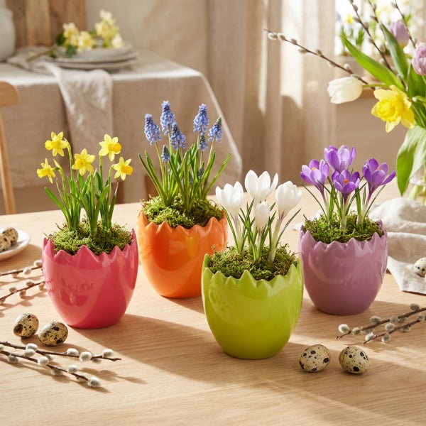 Vier frühlingshafte Pflanzgefäße in Eierschalenoptik mit Frühlingsblumen auf einem Holztisch dekoriert mit Wachteleiern und Weidenkätzchen.