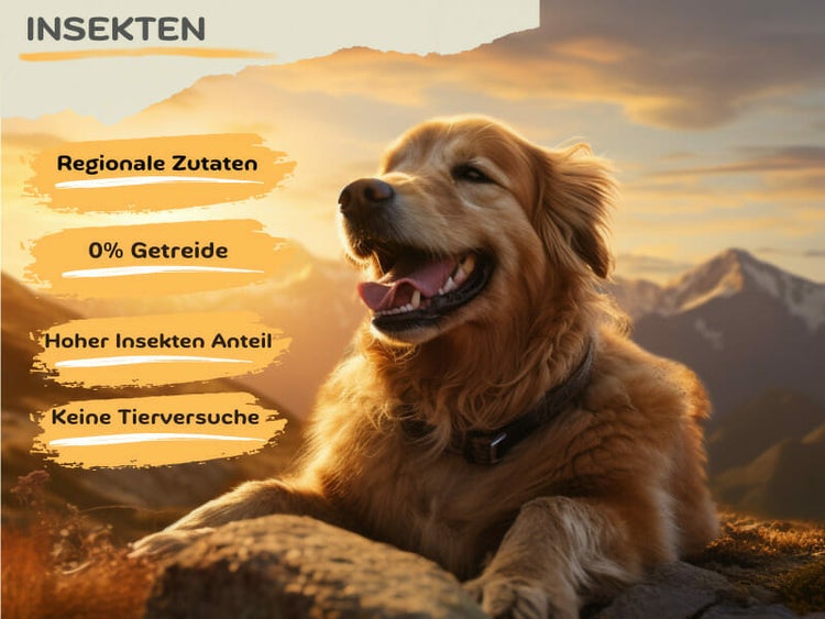 Insekten (1 x 14,5 kg) getreidefreies Hundefutter sensitiv I 33% Insekten Anteil I hypoallergenes Hundefutter mit Süßkartoffel