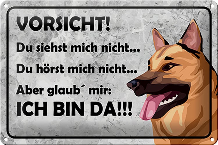 Blechschild Spruch 30x20cm Vorsicht Hund Du siehst mich nicht