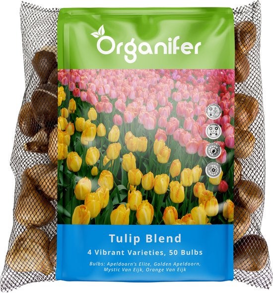 Organifer Tulpenmischung mit 50 Blumenzwiebeln in einer Verpackung