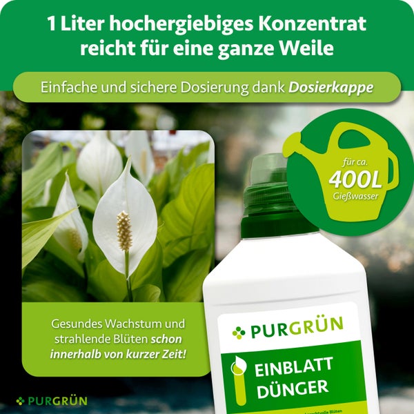 Eine Flasche Purgrün Einblatt Dünger mit Dosierkappe für vierhundert Liter Gießwasser für gesundes Pflanzenwachstum und strahlende Blüten.