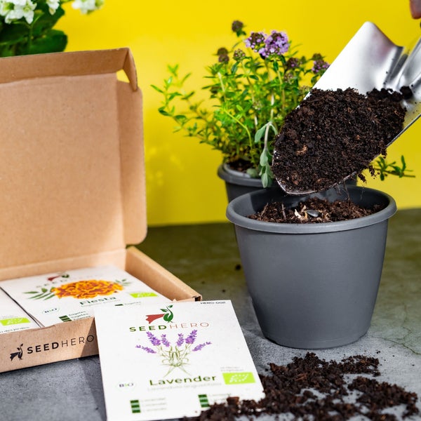 Eine Handschaufel füllt Erde in einen Kunststoff-Blumentopf neben einer Packung Seedhero Lavendelsamen und Tagetessamen.