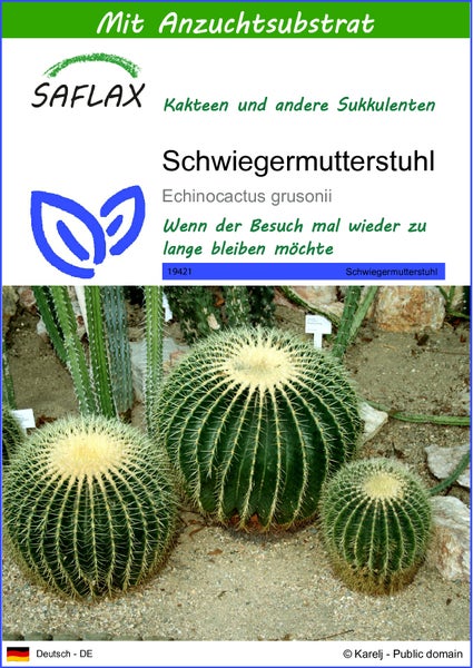 SAFLAX  - Schwiegermutterstuhl - Echinocactus grusonii - 40 Samen - Mit keimfreiem Anzuchtsubstrat