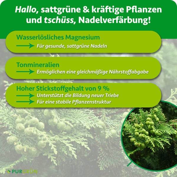 Infografik für Koniferendünger mit Angaben zu wasserlöslichem Magnesium, Tonmineralien und Stickstoffgehalt für gesunde Nadelpflanzen.