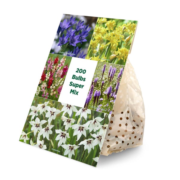 Blumenzwiebeln Super Mix, 200 Stück