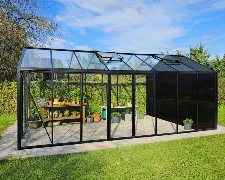 Großes Gewächshaus mit schwarzem Aluminiumrahmen und Glaswänden, Dachfenstern zur Belüftung sowie Pflanzen und Regalen auf Steinboden.
